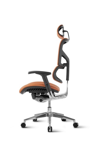 Ergovision Smart Deluxe 01, uredska stolica, konjak