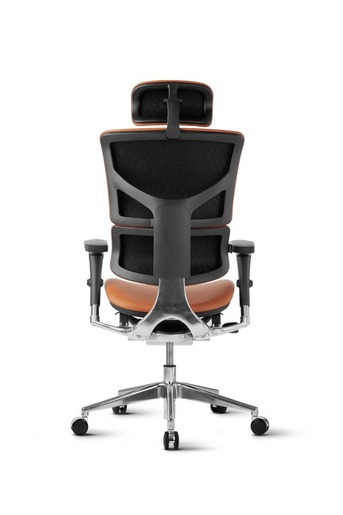 Ergovision Smart Deluxe 01, uredska stolica, konjak