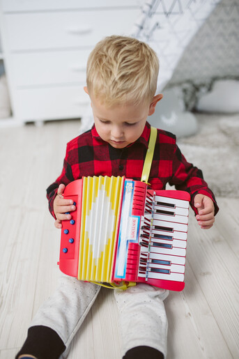 Bontempi harmonika 17 nota