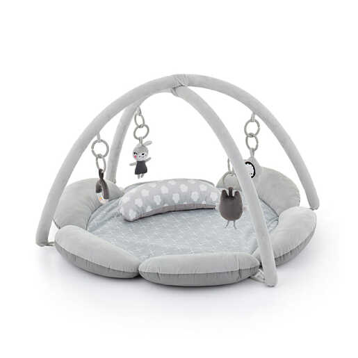 Dječja Kolica Bebetto Holland 01