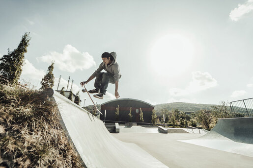 Skateboard Hudora Wolf Instinct ABEC 1