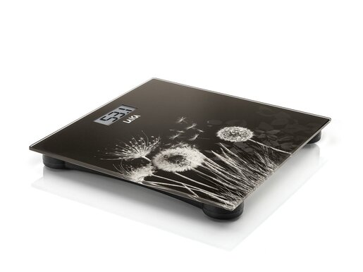 Laica osobna vaga USB PS1080