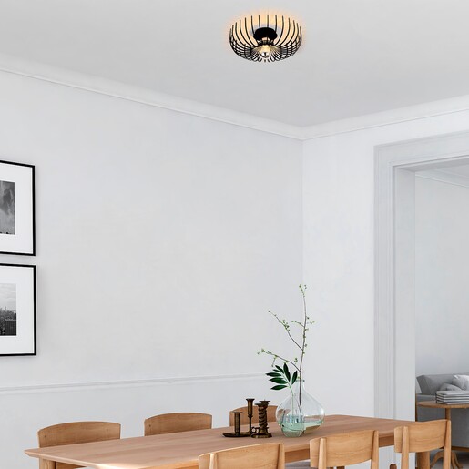 Stropna svjetiljka ASPENDOS, 36 cm, E27, crna