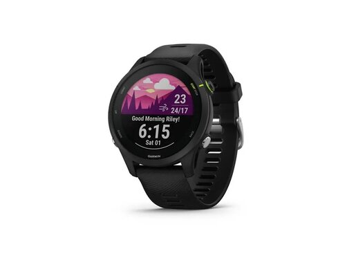 Garmin Forerunner 255 Music Black, 010-02641-30, pametni sat