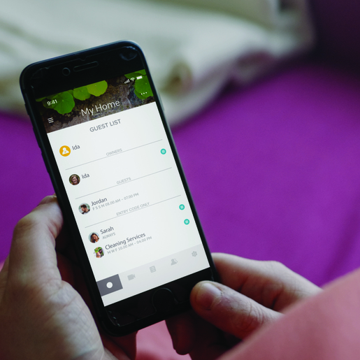 Yale Linus pametna brava, srebrna