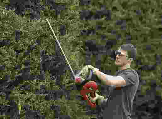 BLACK & DECKER škare za živu ogradu GT7030, 700W