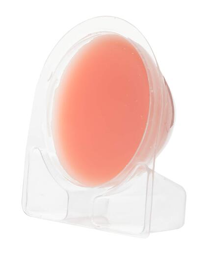 Yankee Candle vosak, New Wax Melt, The Last Paradise