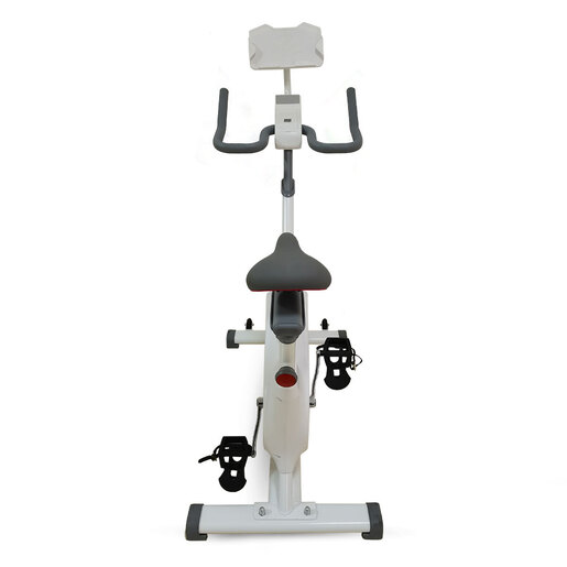 XPLORER sobni bicikl Eagle811, bijela