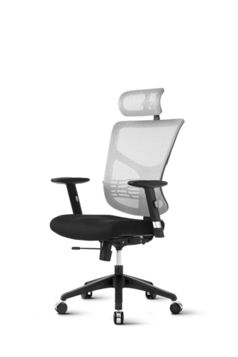 Ergovision Essent 01, uredska stolica, bijelo-siva leđa/crno sjedalo