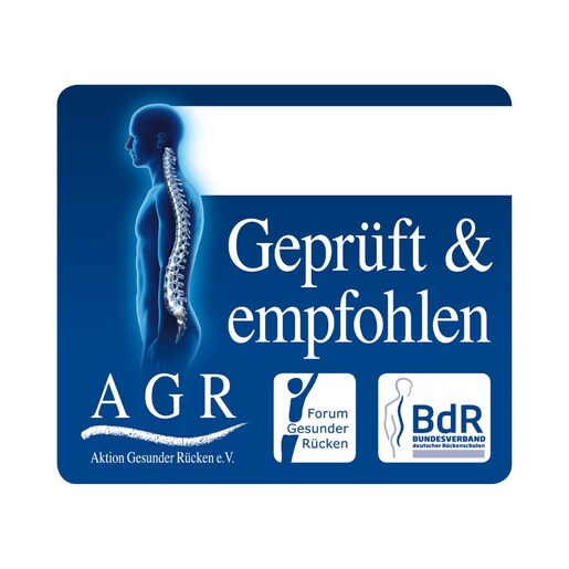 Školska torba, anatomska, Belmil Mini-Fit, T-rex Roar