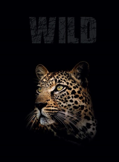 Bilježnica, Target Animal Wild, A4, kvadratići, meki uvez