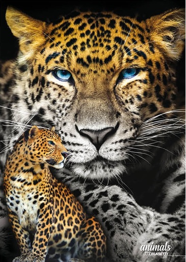 Bilježnica, Animal, A4 linije, meki uvez