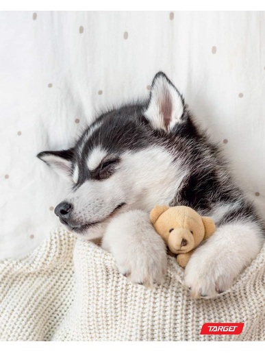 Bilježnica, Target Animal Baby, A4, kvadratići, meki uvez