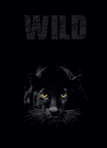 Bilježnica, Target Animal Wild, A4, kvadratići, meki uvez