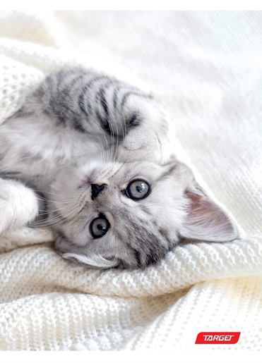 Bilježnica, Target Animal Baby, A4, kvadratići, meki uvez