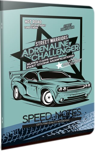 Bilježnica, Speed A4, geometrija, meki uvez