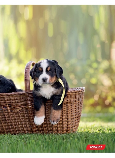 Bilježnica, Target Animal Baby, A4, kvadratići, meki uvez