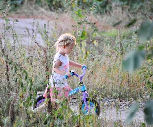 Milly Mally dječji bicikl bez pedala Dragon Air, rozi