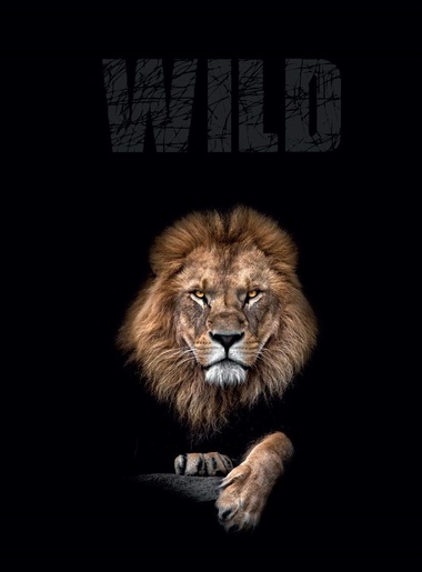 Bilježnica Target Animal Wilde, A4 kvadratići, 70 listova, spiralni uvez