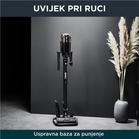 Rowenta štapni usisavač RH99G1WO