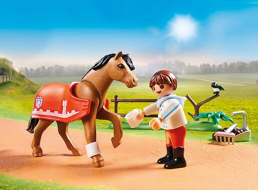 Playmobil Connemara poni 70516