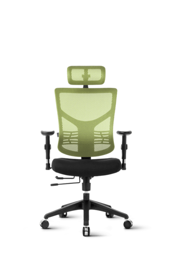 Ergovision Essent 05, uredska stolica, crno/zelena