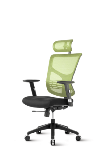 Ergovision Essent 05, uredska stolica, crno/zelena