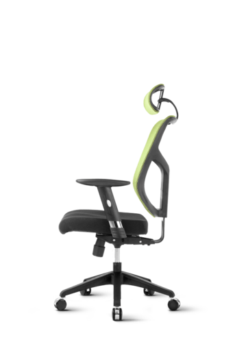 Ergovision Essent 05, uredska stolica, crno/zelena