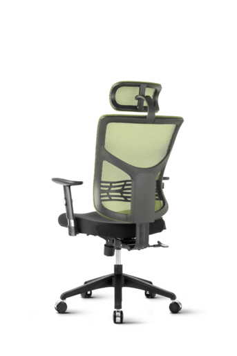 Ergovision Essent 05, uredska stolica, crno/zelena