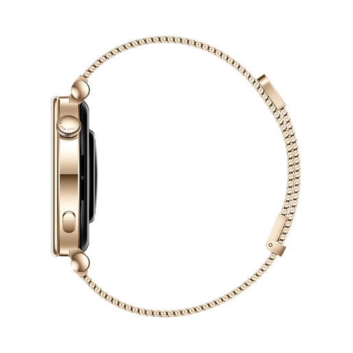 Huawei Watch GT4 41mm, Gold (Aurora-B19M), pametni sat