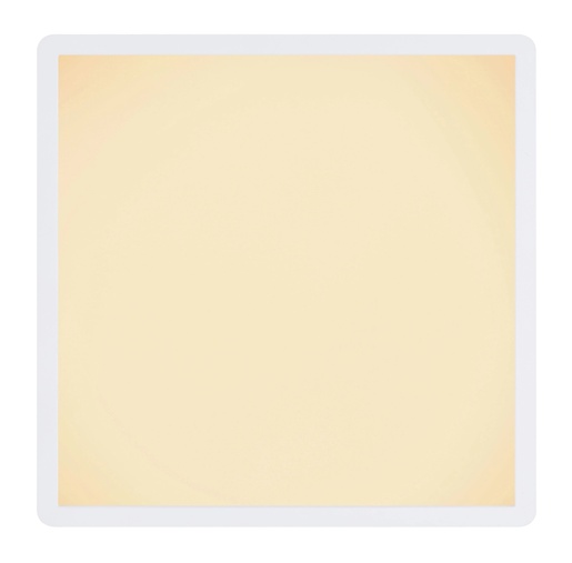 Stropna svjetiljka SAPANA (Ø42 cm), LED, IP44, pravokutna, bijela