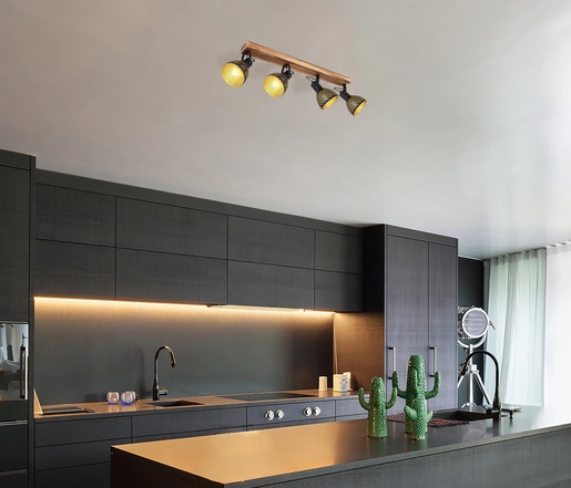 Stropni reflektor LENNA, 4xE27 IP20, crna