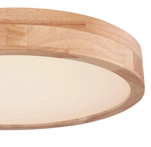 Stropna svjetiljka RAINER (Ø40 cm), LED, IP20, bijela