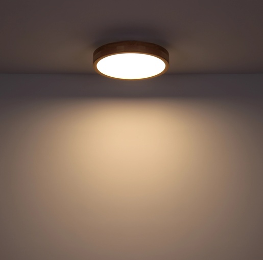 Stropna svjetiljka RAINER (Ø40 cm), LED, IP20, bijela