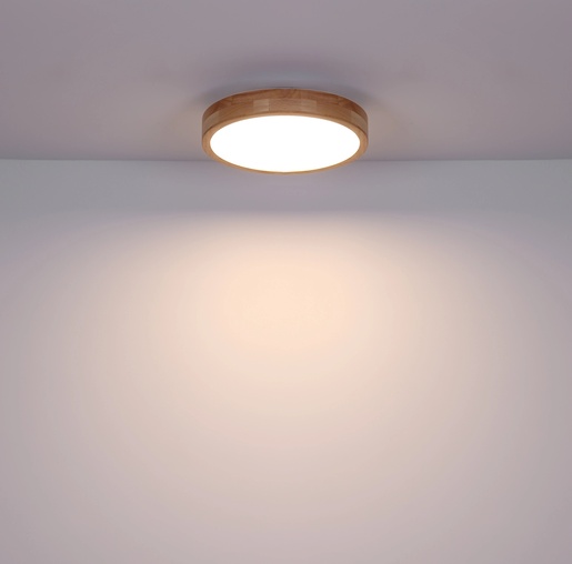 Stropna svjetiljka RAINER (Ø40 cm), LED, IP20, bijela