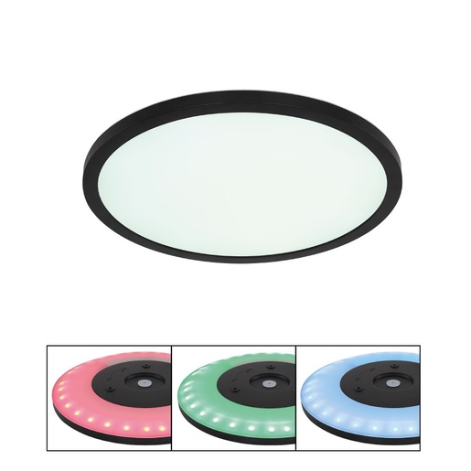 Stropna svjetiljka SAPANA (Ø29 cm), LED, IP44, crno-bijela