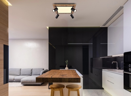 Stropna LED svjetiljka ULLA (45x45 cm), GU10, IP20, crna