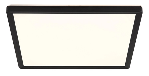 Stropna svjetiljka SAPANA (Ø29.4 cm), LED, IP44, crno-bijela