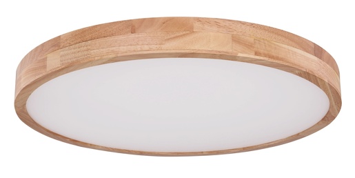 Stropna svjetiljka RAINER (Ø60 cm), LED, IP20, bijela