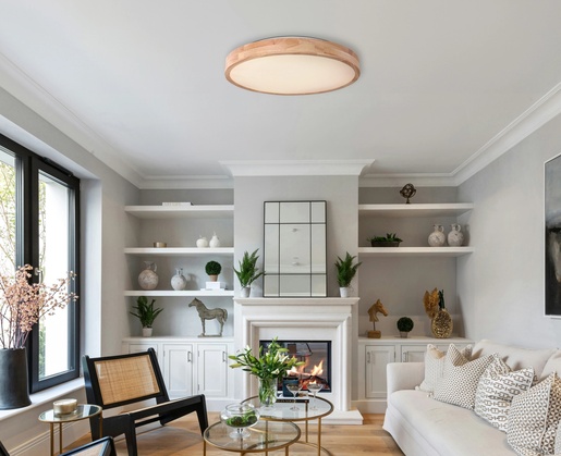 Stropna svjetiljka RAINER (Ø60 cm), LED, IP20, bijela