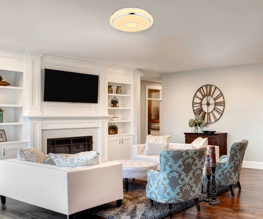 Stropna svjetiljka DANI (Ø50 cm), LED, siva