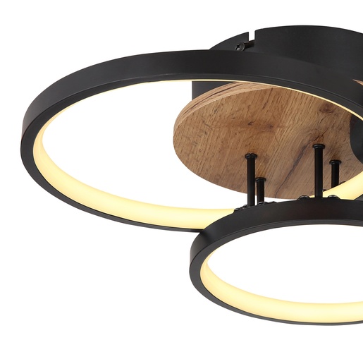 Stropna svjetiljka SID, (40x38 cm), LED, IP20, crna