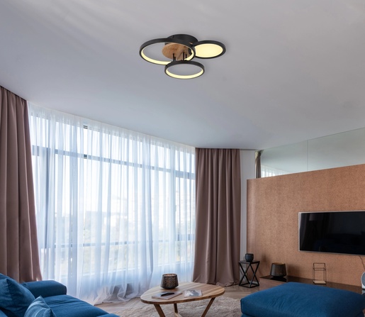 Stropna svjetiljka SID, (40x38 cm), LED, IP20, crna