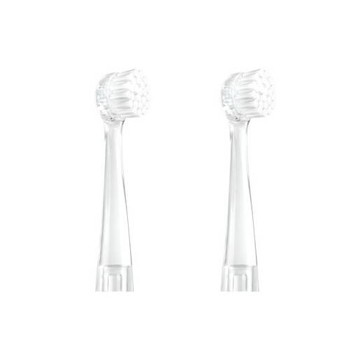 Neno zamjenske glave Denti, 2 kom