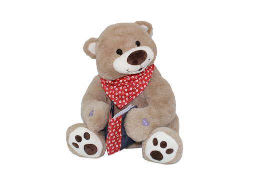 DIMIAN plišani interaktivni Medo pričalica