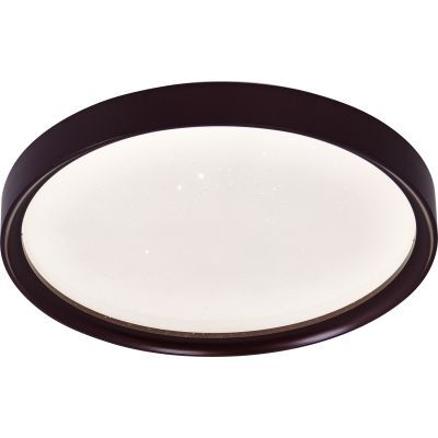 Vidik LED plafonjera 19978 (Ø50 cm), ugrađeni LED, IP20, crna