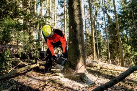 METABO akumulatorska lančana pila MS 36-18 LTX BL 40 (solo)