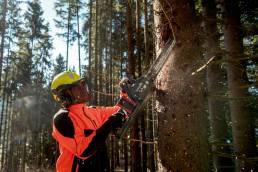 METABO akumulatorska lančana pila MS 36-18 LTX BL 40 (solo)