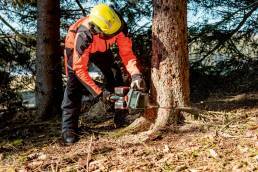 METABO akumulatorska lančana pila MS 36-18 LTX BL 40 (solo)