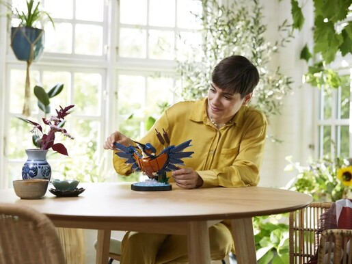 LEGO® Riječni vodomar 10331